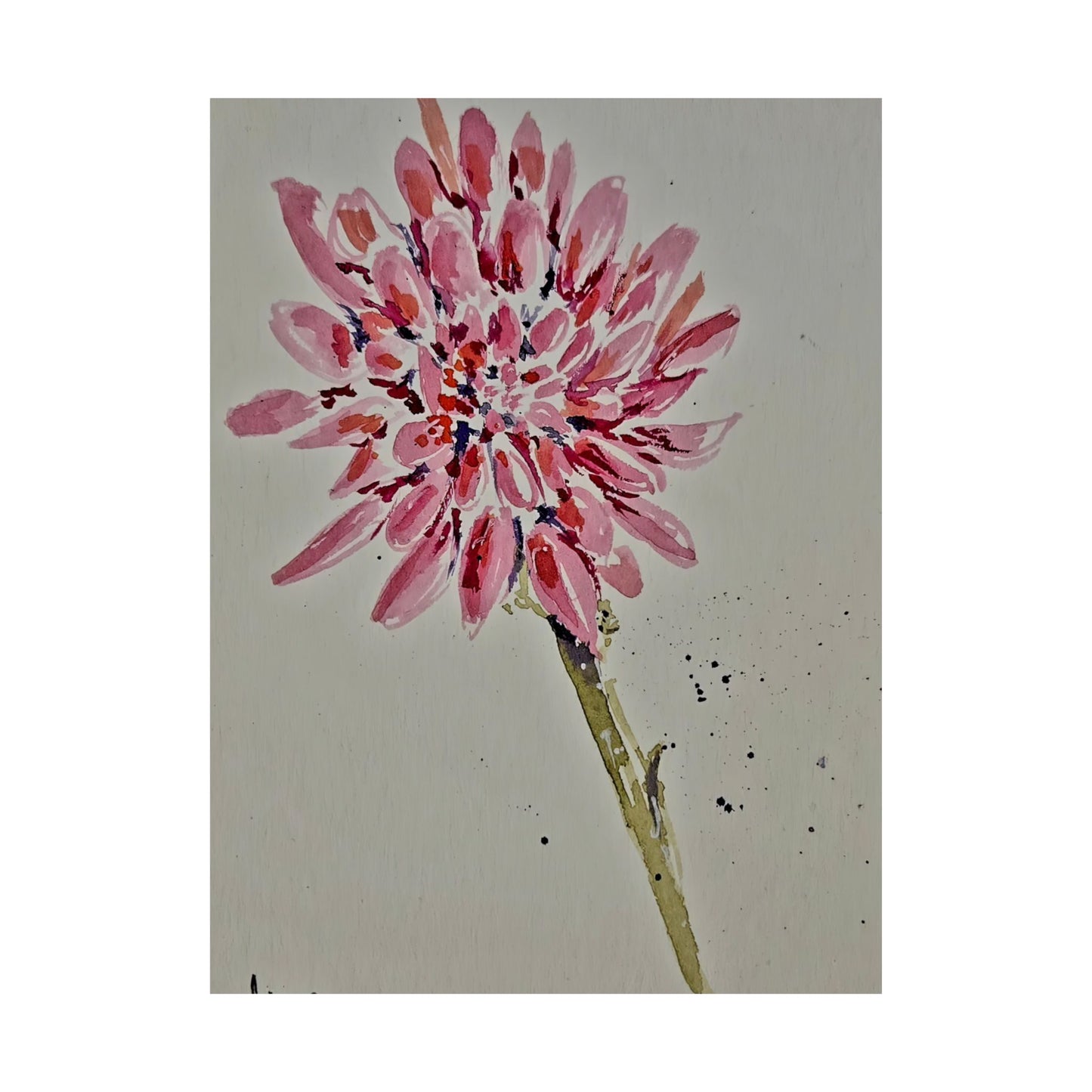 Pink Chrysanthemum Flower - Satin Posters (210gsm)