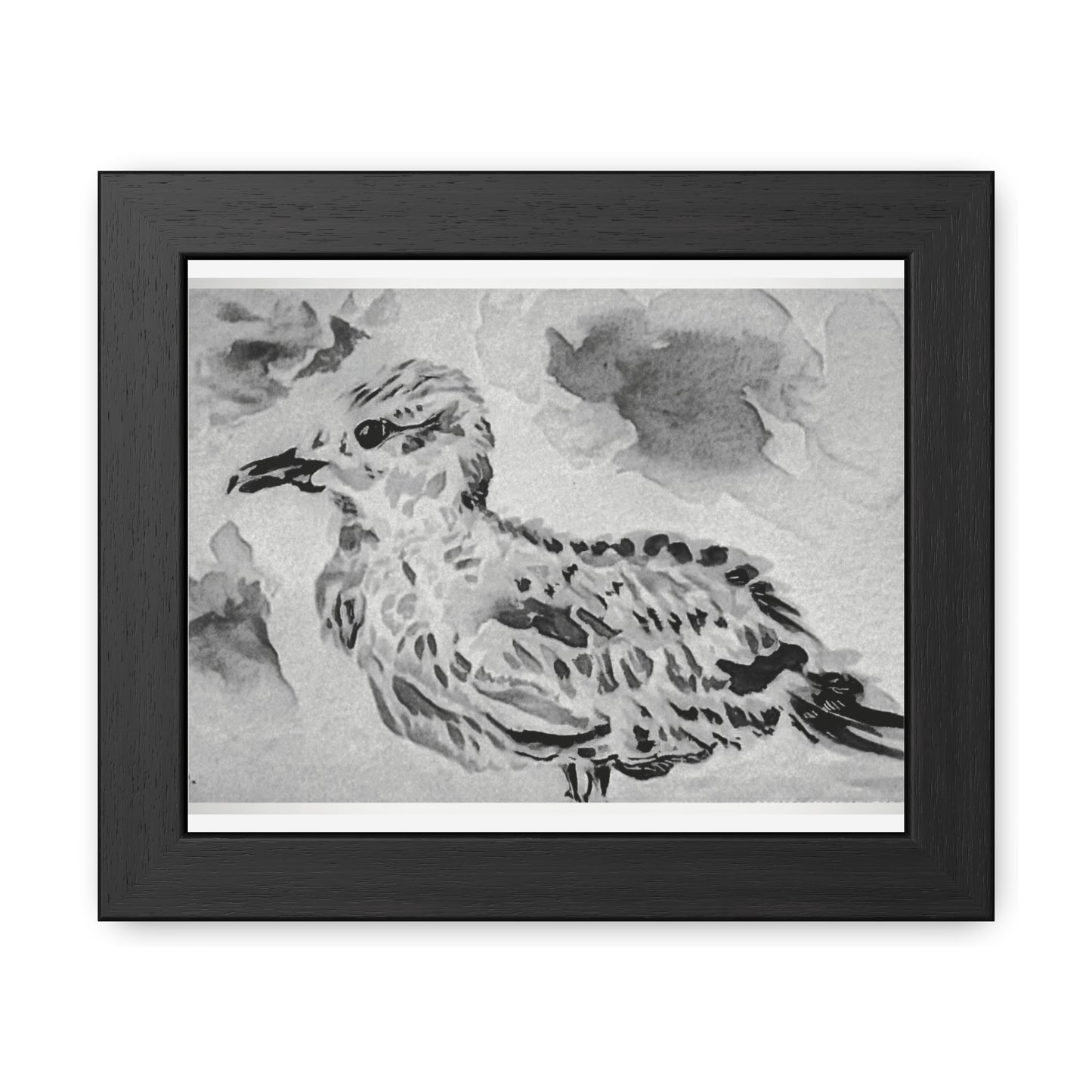 Stunning sea gull painted with watercolors in black and white - Framed