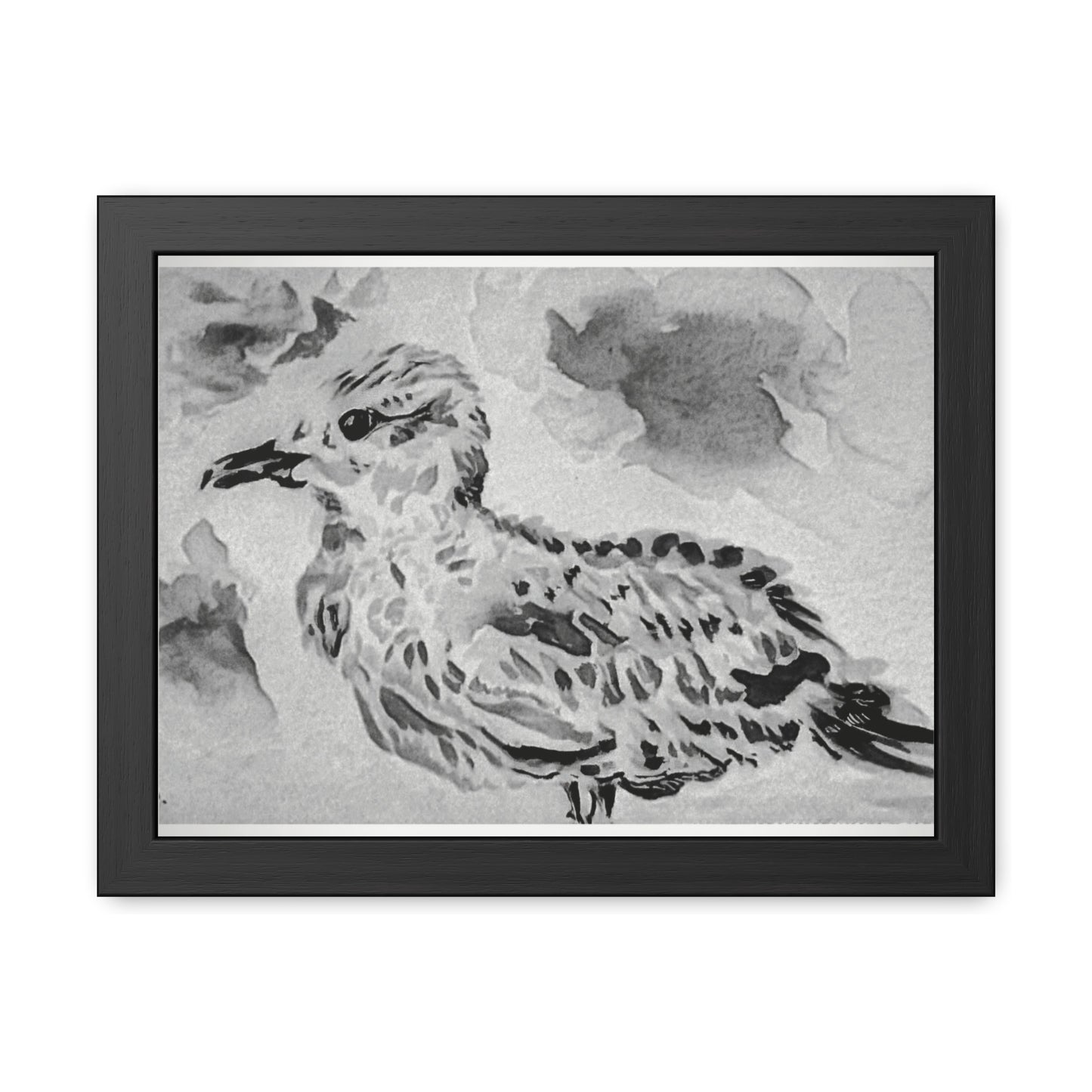 Stunning sea gull painted with watercolors in black and white - Framed