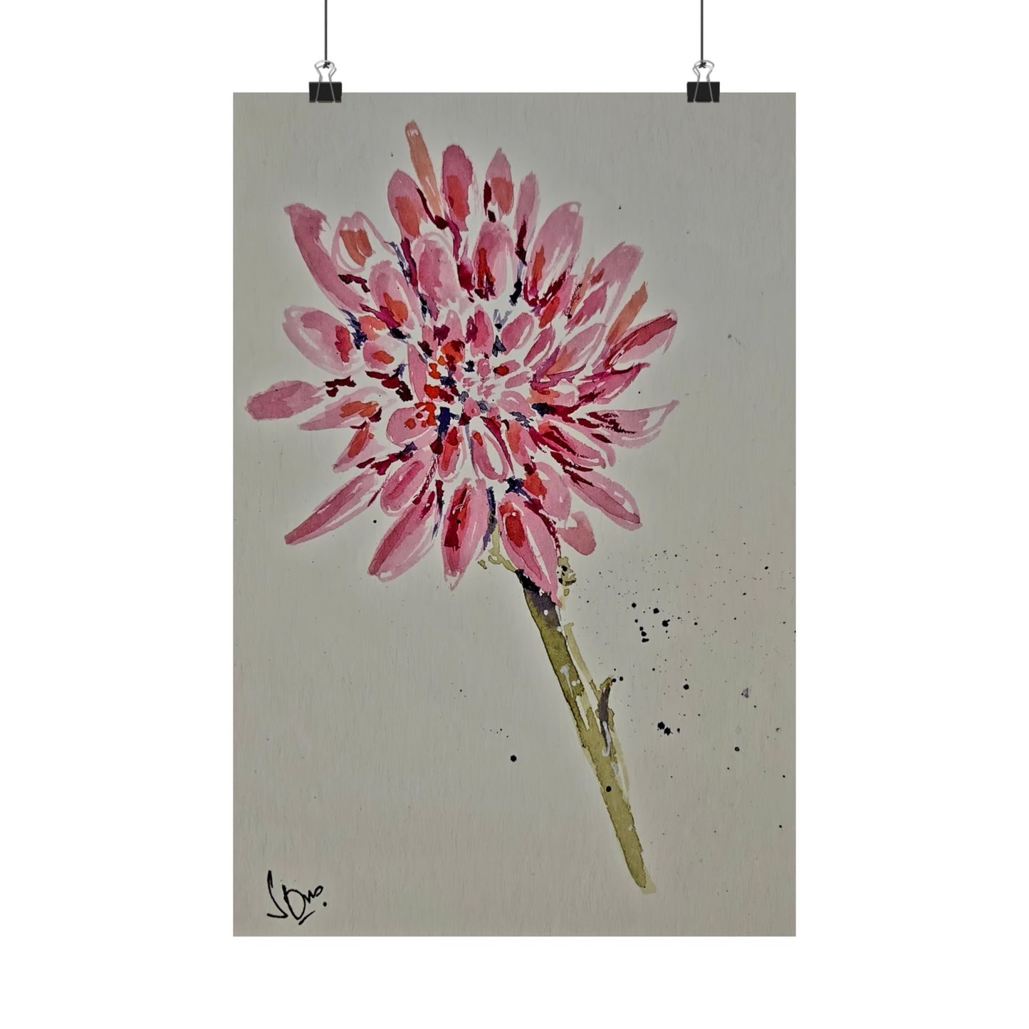 Pink Chrysanthemum Flower - Satin Posters (210gsm)