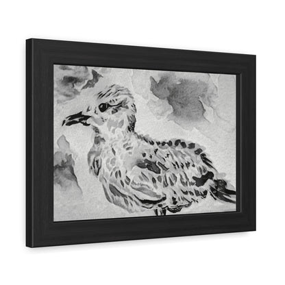 Stunning sea gull painted with watercolors in black and white - Framed