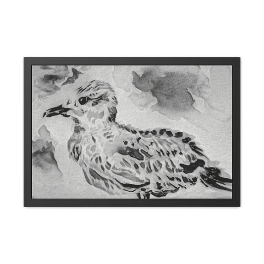 Stunning sea gull painted with watercolors in black and white - Framed