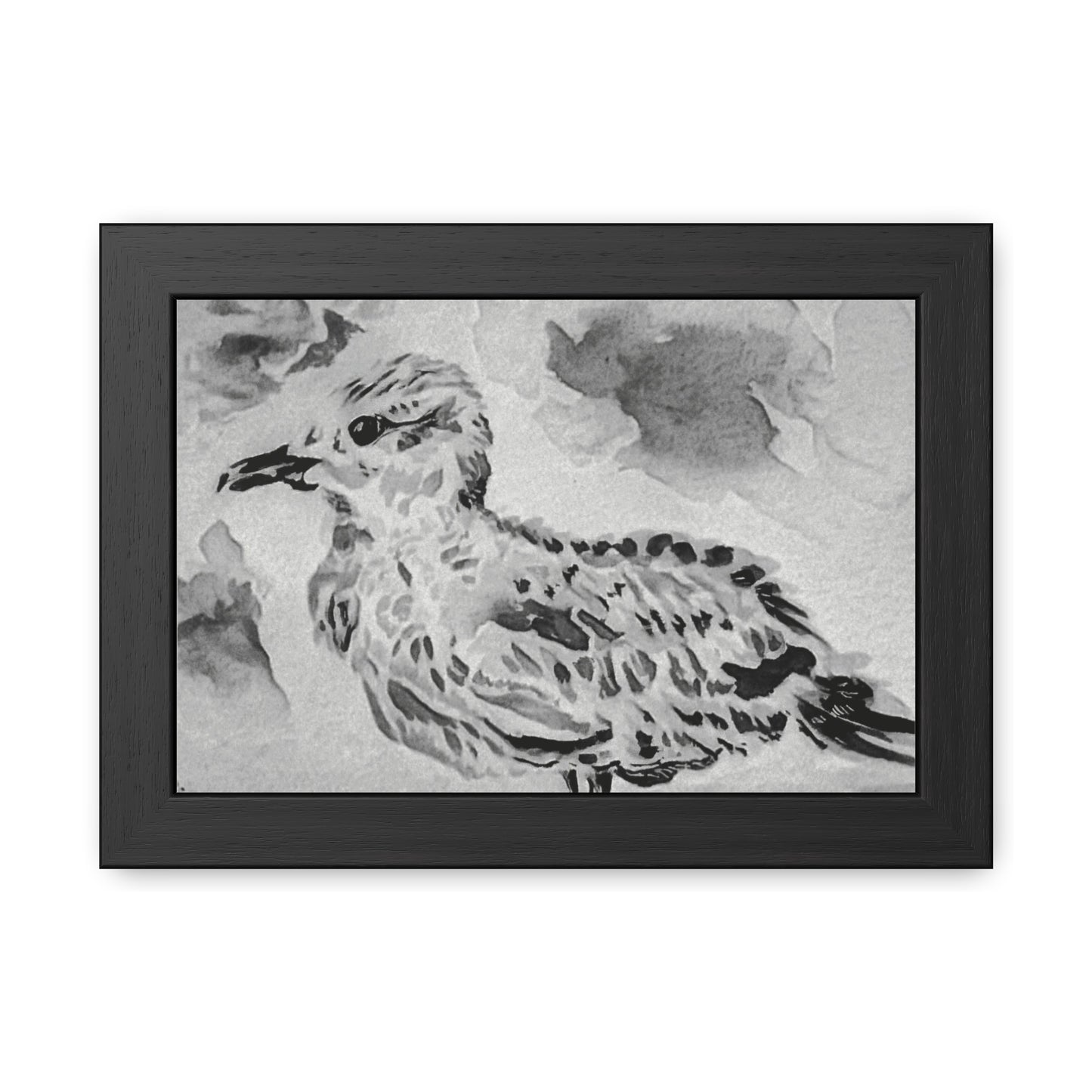 Stunning sea gull painted with watercolors in black and white - Framed